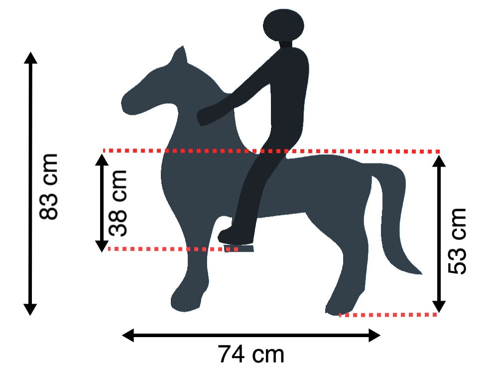 My Pony | ROLLZONE ® | Rijdend speelgoed paard | MP2007-S | 3-6 jaar |