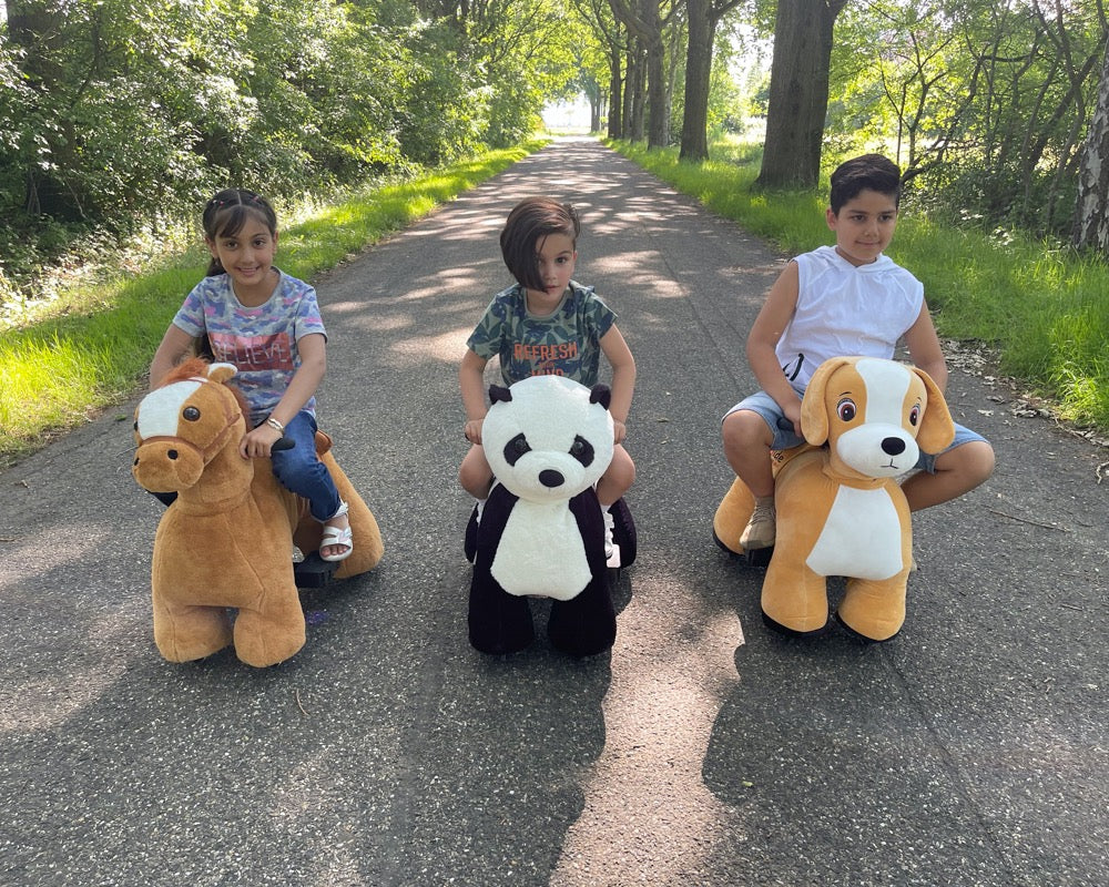 ROLLZONE ® | Elektrisch rijdende panda | PetRide |