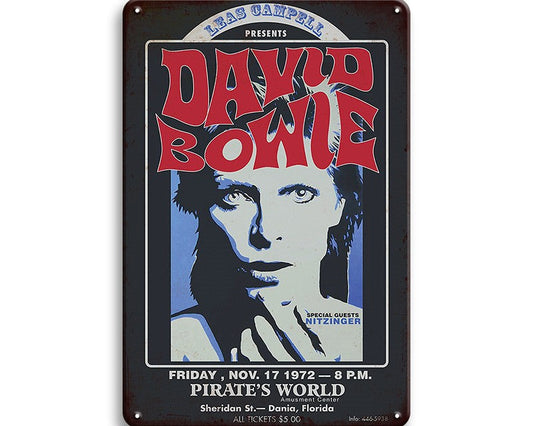 Metalen wandbord | David Bowie |