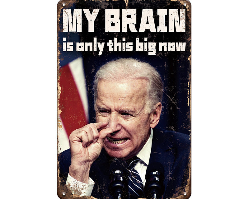Metalen wandbord | My brain is only this big now |