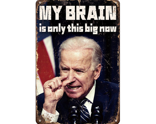 Metalen wandbord | My brain is only this big now |