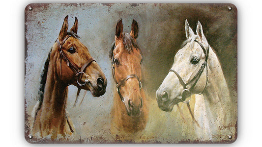 Metalen wandbord | Paarden |