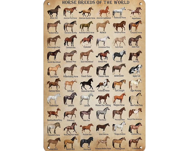 Metalen wandborden | Horse breeds of the world |