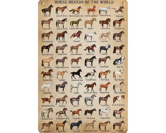 Metalen wandborden | Horse breeds of the world |