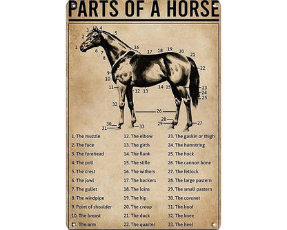 Metalen wandbord | Parts of a horse |