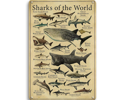 Metalen wandbord | Sharks of the world |