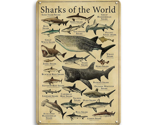 Metalen wandbord | Sharks of the world |