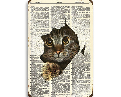 Metalen wandbord | Kat in krant |