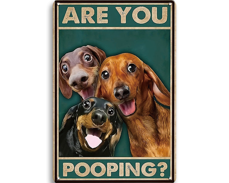 Metalen wandbord | Are you pooping? | Honden |
