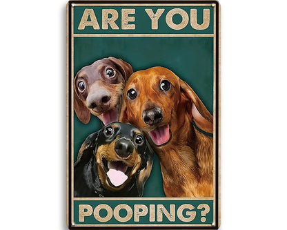 Metalen wandbord | Are you pooping? | Honden |