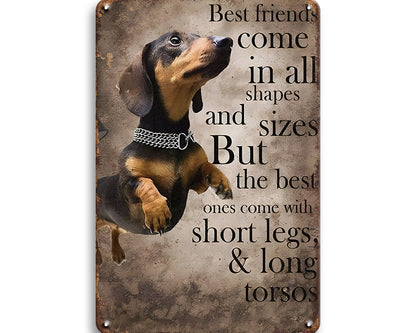 Metalen wandbord | Best friends come in all shapes and sizes |