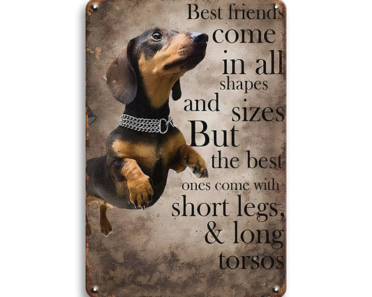 Metalen wandbord | Best friends come in all shapes and sizes |