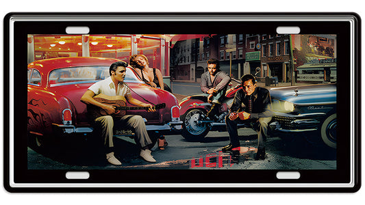 Metalen wandbord | Elvis met gitaar | Kentekenplaat | 15x30cm |