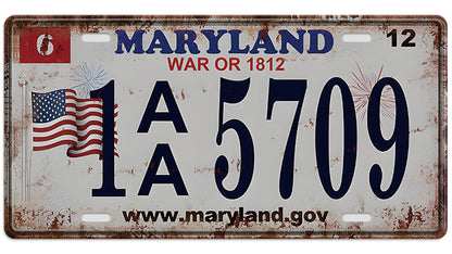 Metalen wandbord | Maryland | Kentekenplaat | 15x30cm |