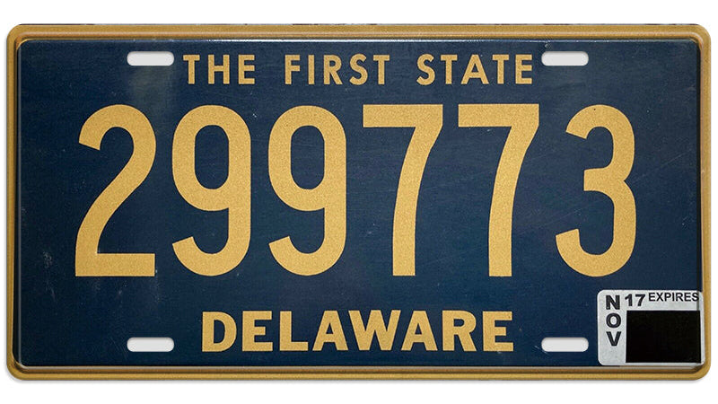 Metalen wandbord | The First State Delaware | Kentekenplaat | 15x30cm |