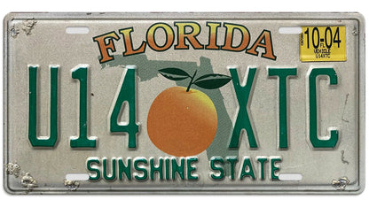Metalen wandbord | Florida Sunshine State | Kentekenplaat | 15x30cm |