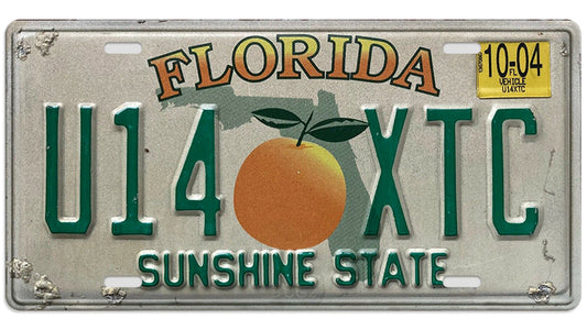 Metalen wandbord | Florida Sunshine State | Kentekenplaat | 15x30cm |