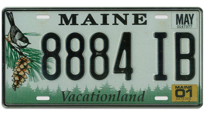 Metalen wandbord | Maine | Vacationland | Kentekenplaat | 15x30cm |