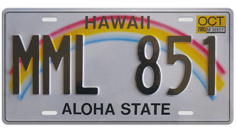 Metalen wandbord | Hawaii | Aloha State | Kentekenplaat | 15x30cm |