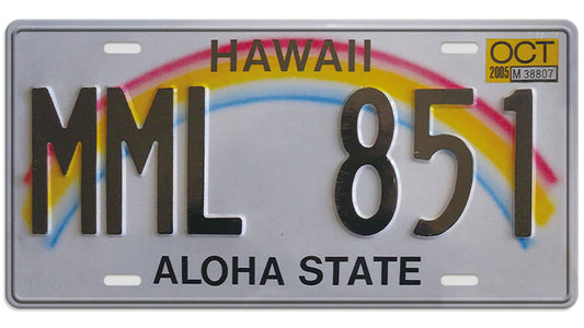 Metalen wandbord | Hawaii | Aloha State | Kentekenplaat | 15x30cm |