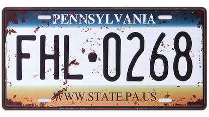 Metalen wandbord | Pennsylvania #2 | Kentekenplaat | 15x30cm |