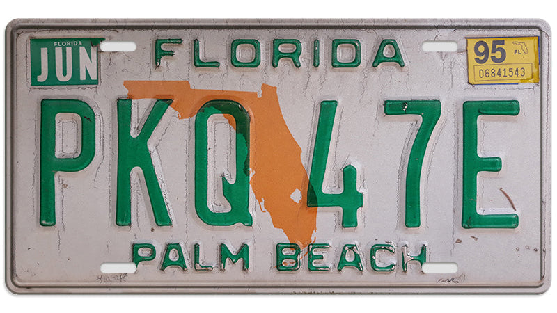 Metalen wandbord | Florida Palm Beach | Kentekenplaat | 15x30cm |