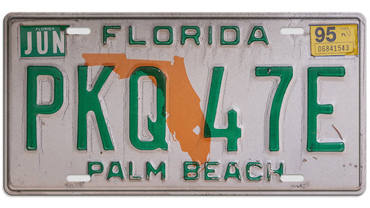 Metalen wandbord | Florida Palm Beach | Kentekenplaat | 15x30cm |