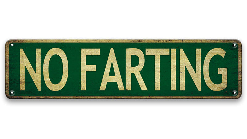 Metalen wandbord | No farting | Kentekenplaat | 10x40cm |