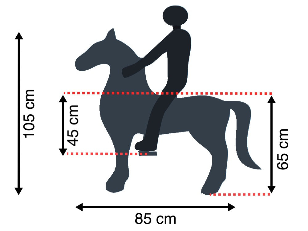 My Pony | ROLLZONE ® | Rijdend speelgoed paard | MP2009-M | 4-10 jaar |